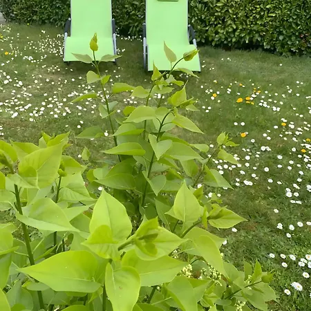 Gaestehaus Am 3* Radolfzell am Bodensee